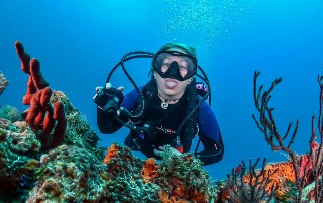 A person in scuba gear is swimming underwater.