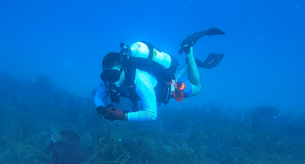 A diver with partial suit and an oxygen tank under water