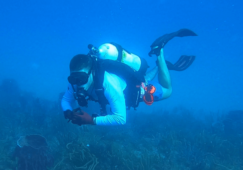 A diver with partial suit and an oxygen tank under water